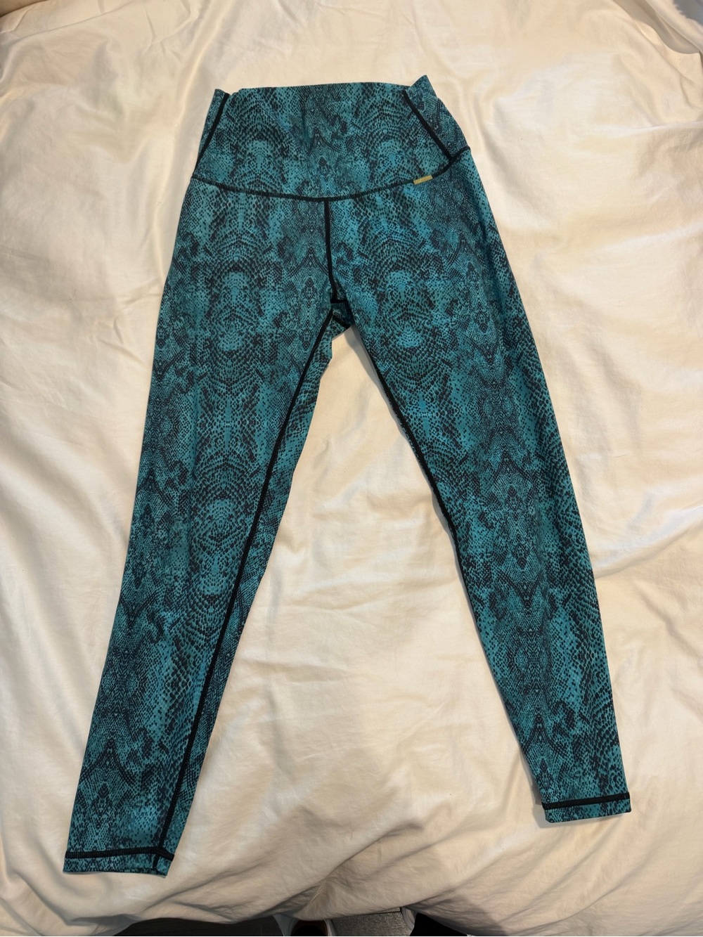 Cleo Harper Women’s Teal Snake-Print Leggings